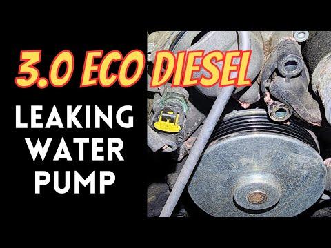 Eco Diesel Water Pump