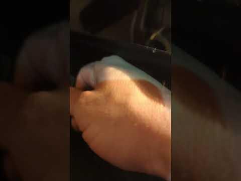 How to Replace the Cabin Air Filter on a 2016 Kia Sedona (Glove Box Method)