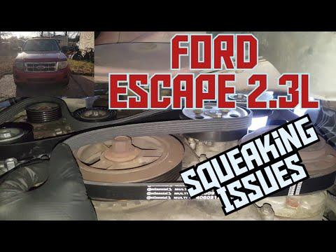 2008 Ford Escape 2.3L , tensioner, idler, serpentine belt replacement. Will it stop squeaking?