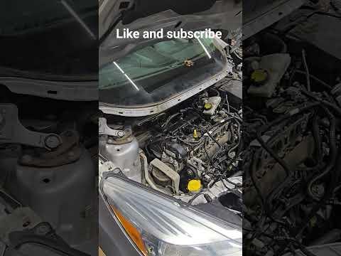 How to Replace a Radiator Hose on a 2015 Ford Escape