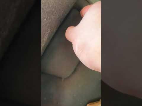 How to Replace Both Taillight Bulbs on a 2016 Volkswagen Beetle