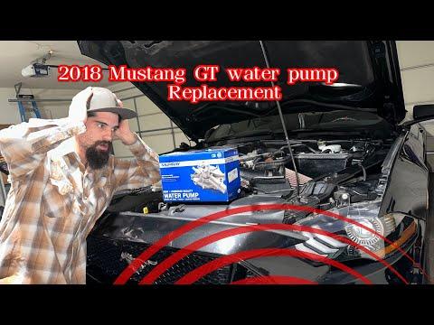 Step by Step Guide to Changing Water Pump and Coolant Hose O Rings on 2018 Mustang GT 5.0L!