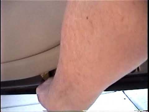 Ford Fusion Rear Window Regulator Replacement