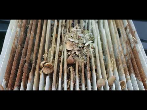 How to Replace the Cabin Air Filter on a 2018 Toyota Avalon (Glove Box Method)